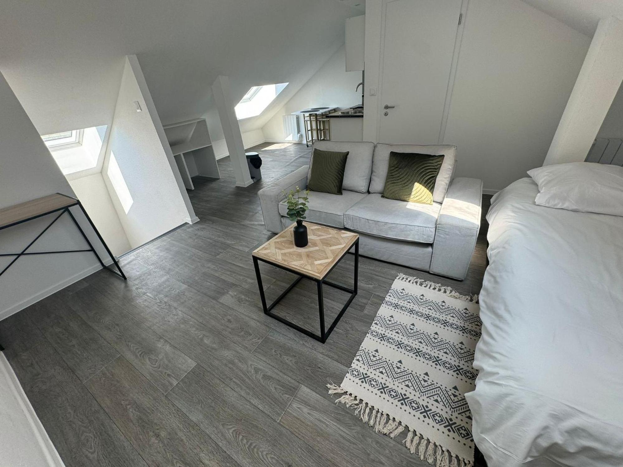 Studio Eucalyptus Charmant Elegant Et Fonctionnel Centre Ville Mulhouse Exterior photo