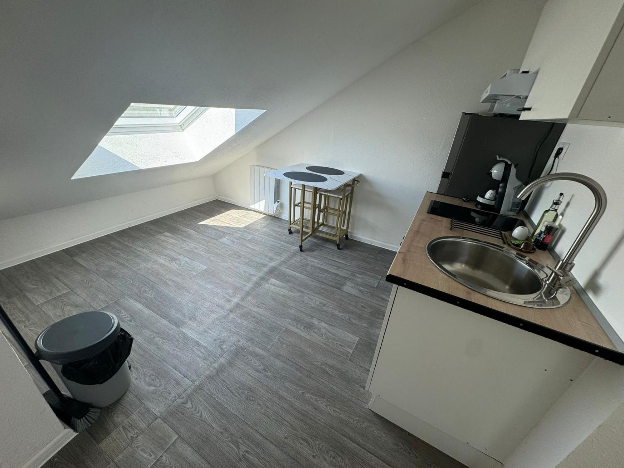Studio Eucalyptus Charmant Elegant Et Fonctionnel Centre Ville Mulhouse Exterior photo